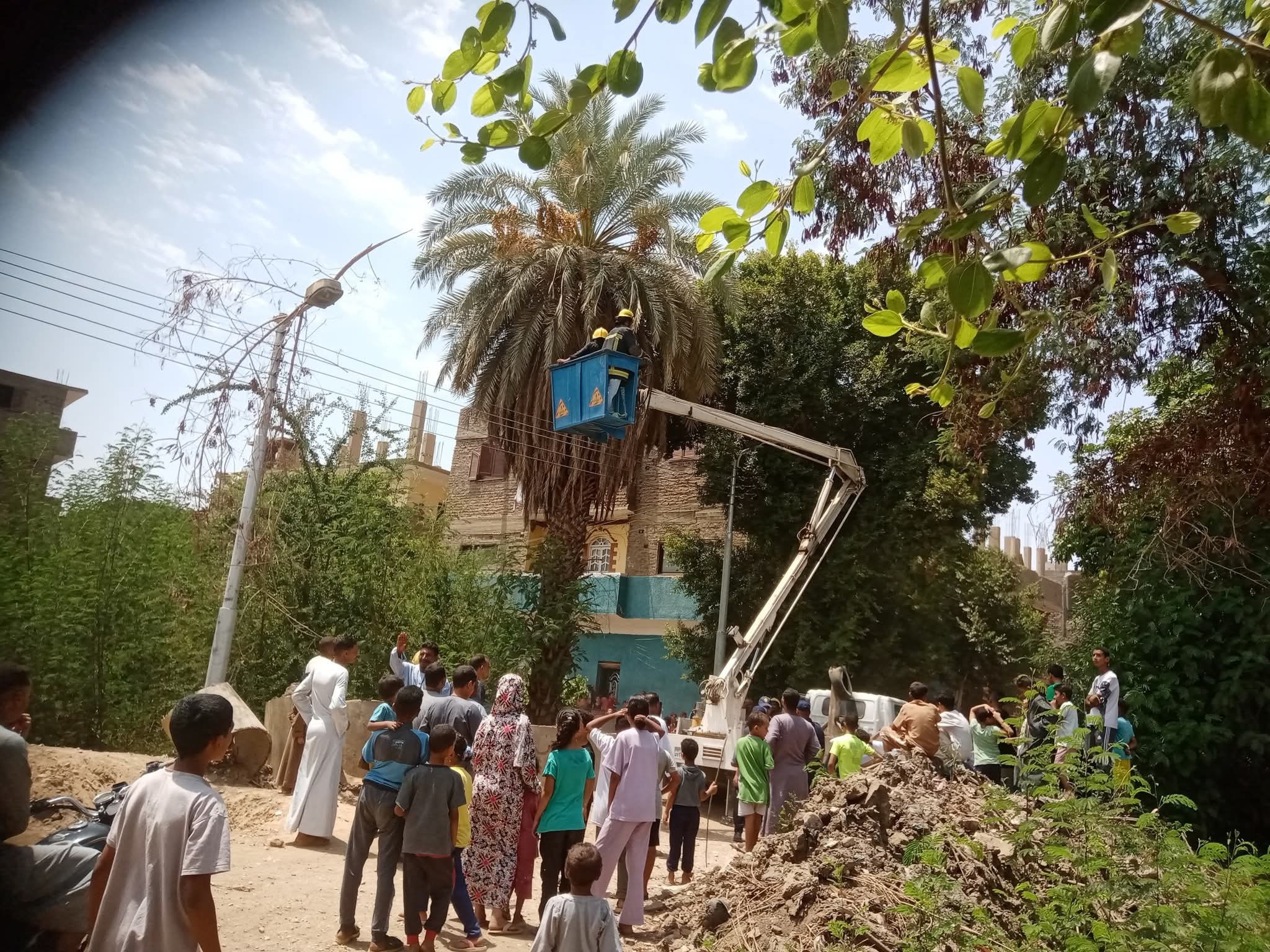 الطب البيطرى والحماية المدنية يتدخلان لإبعاد نسناس من قرية الديمقراط