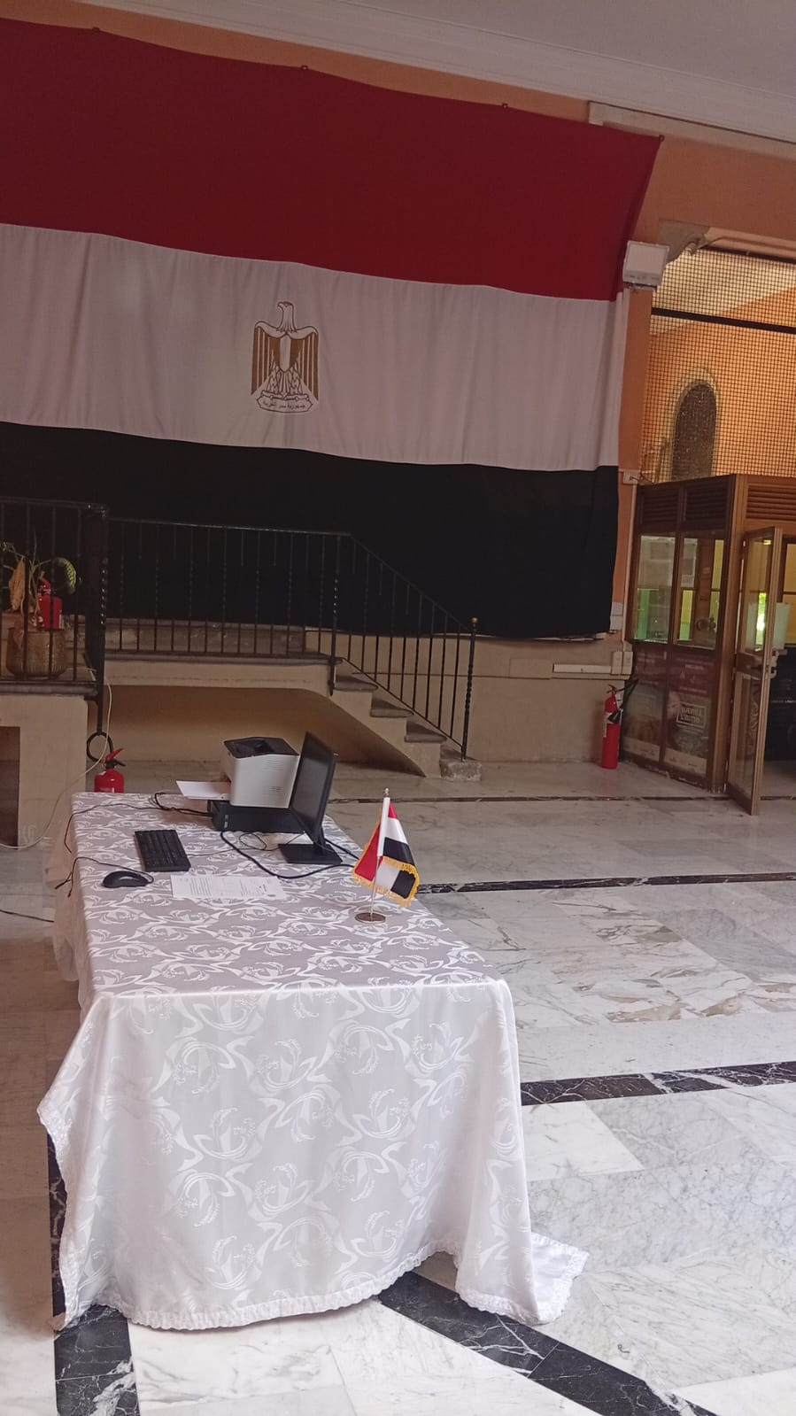 استمرار فتح لجان الاقتراع أبوابها للمصريين بالخارج (8)