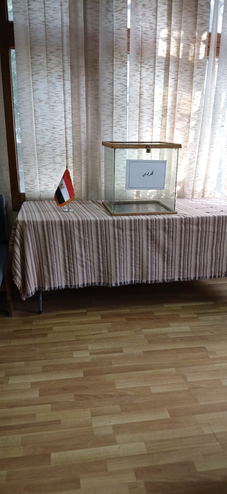 الهيئة الوطنية للانتخابات تُتابع سير عملية فتح مقرات اللجان (30)