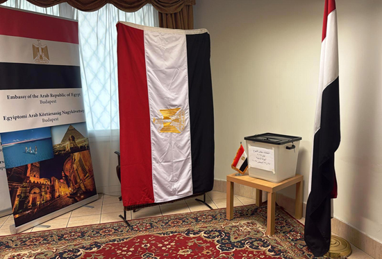 213019-جولة-الإعادة-بانتخابات-مجلس-الشيوخ-(3)