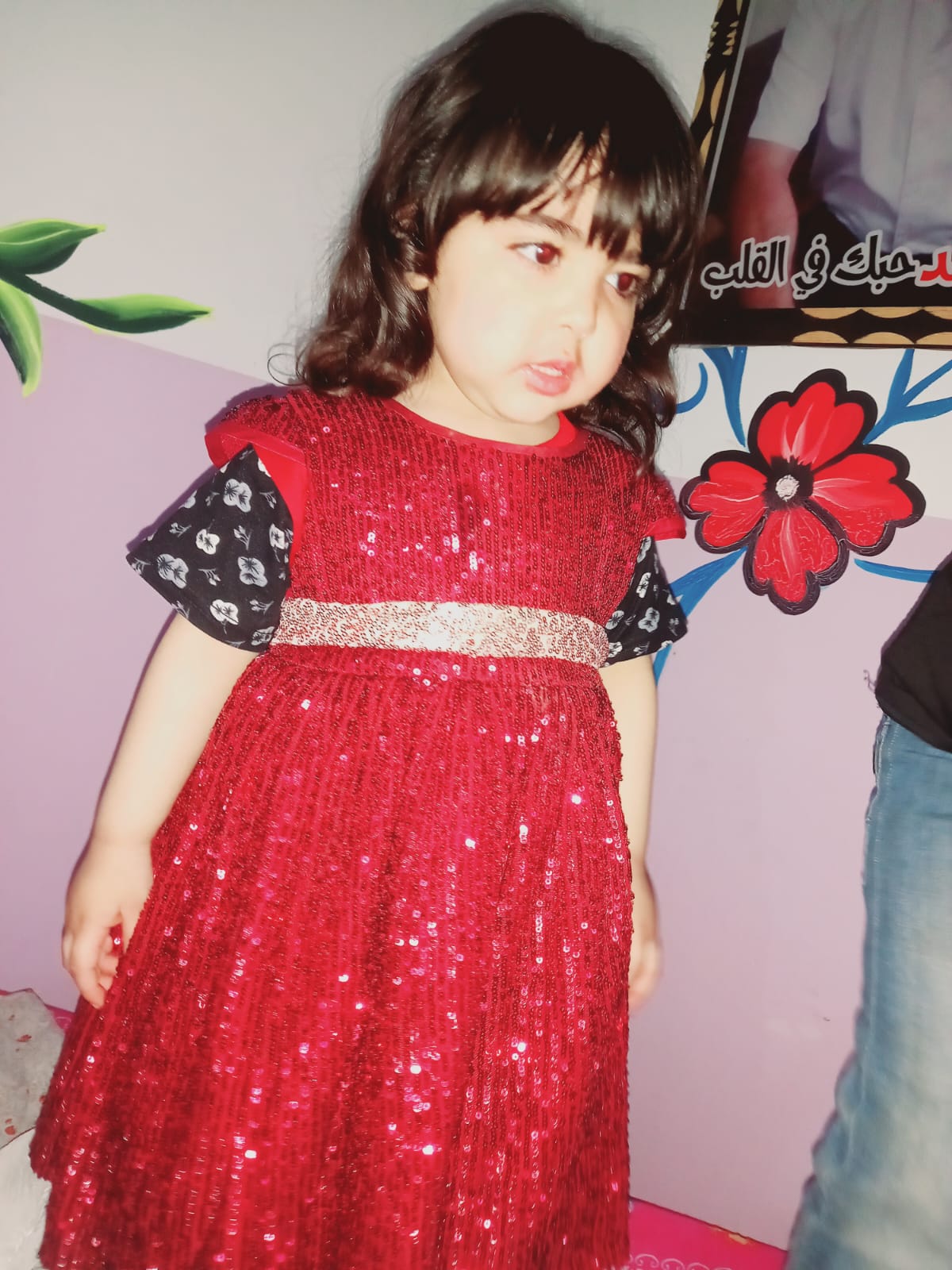 الشهيدة بانا الشهيدة بانا