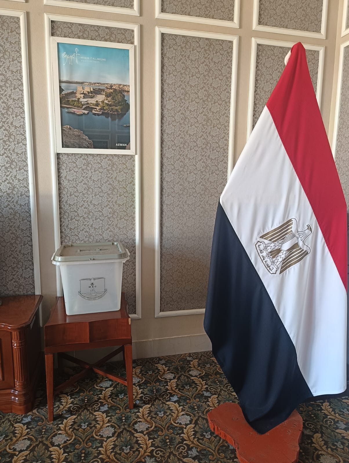 استمرار فتح لجان الاقتراع أبوابها للمصريين بالخارج (6)