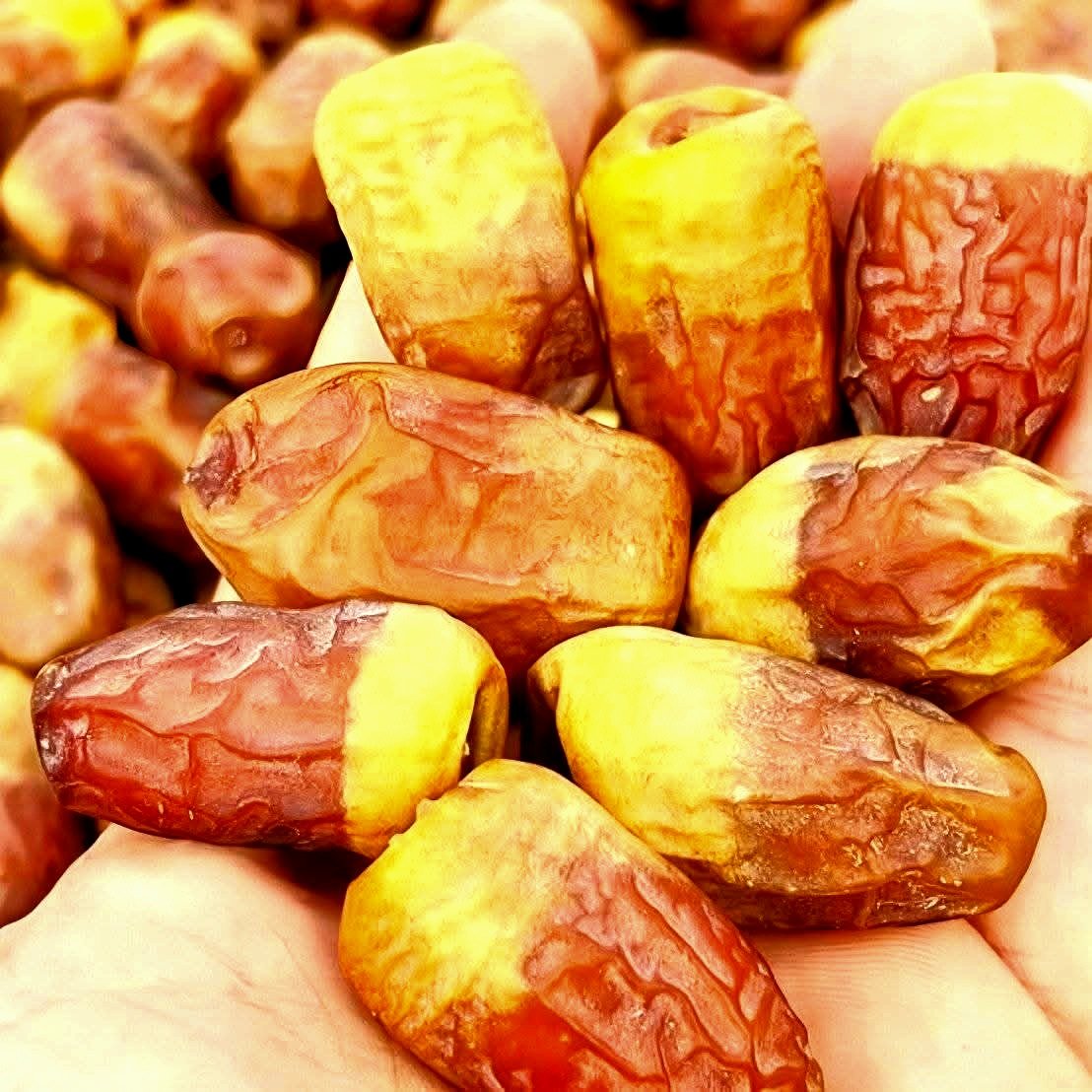 التمر السيوى بالوادى الجديد التمر السيوى بالوادى الجديد