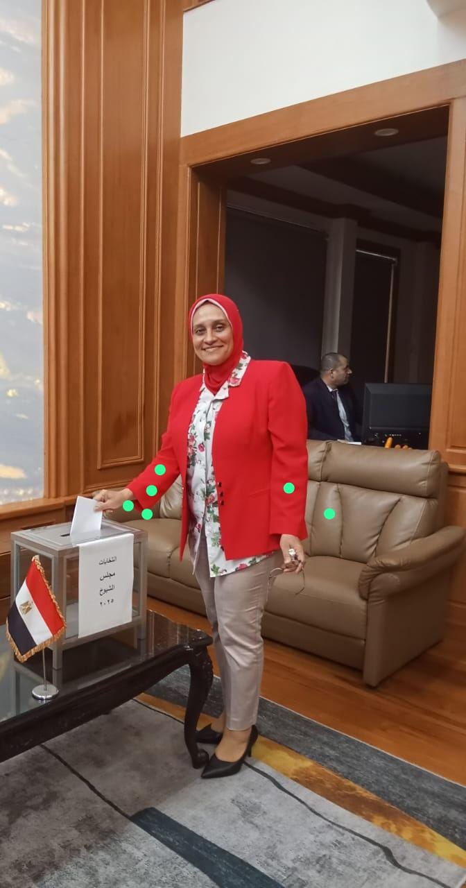 11 لجنة انتخابية فى القارة الإفريقية تفتح أبوابها لاستقبال الناخبين (3)