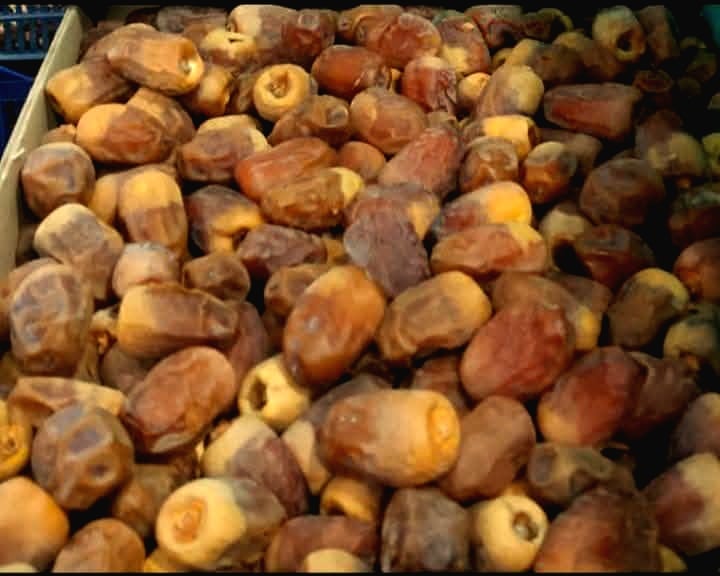 بلح الوادى الجديد بمواصفات التصدير بلح الوادى الجديد بمواصفات التصدير
