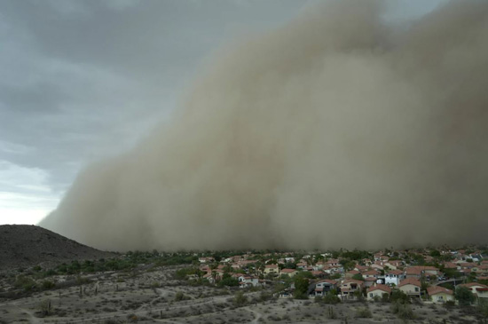 عاصفة ترابية فى نيويورك (2)