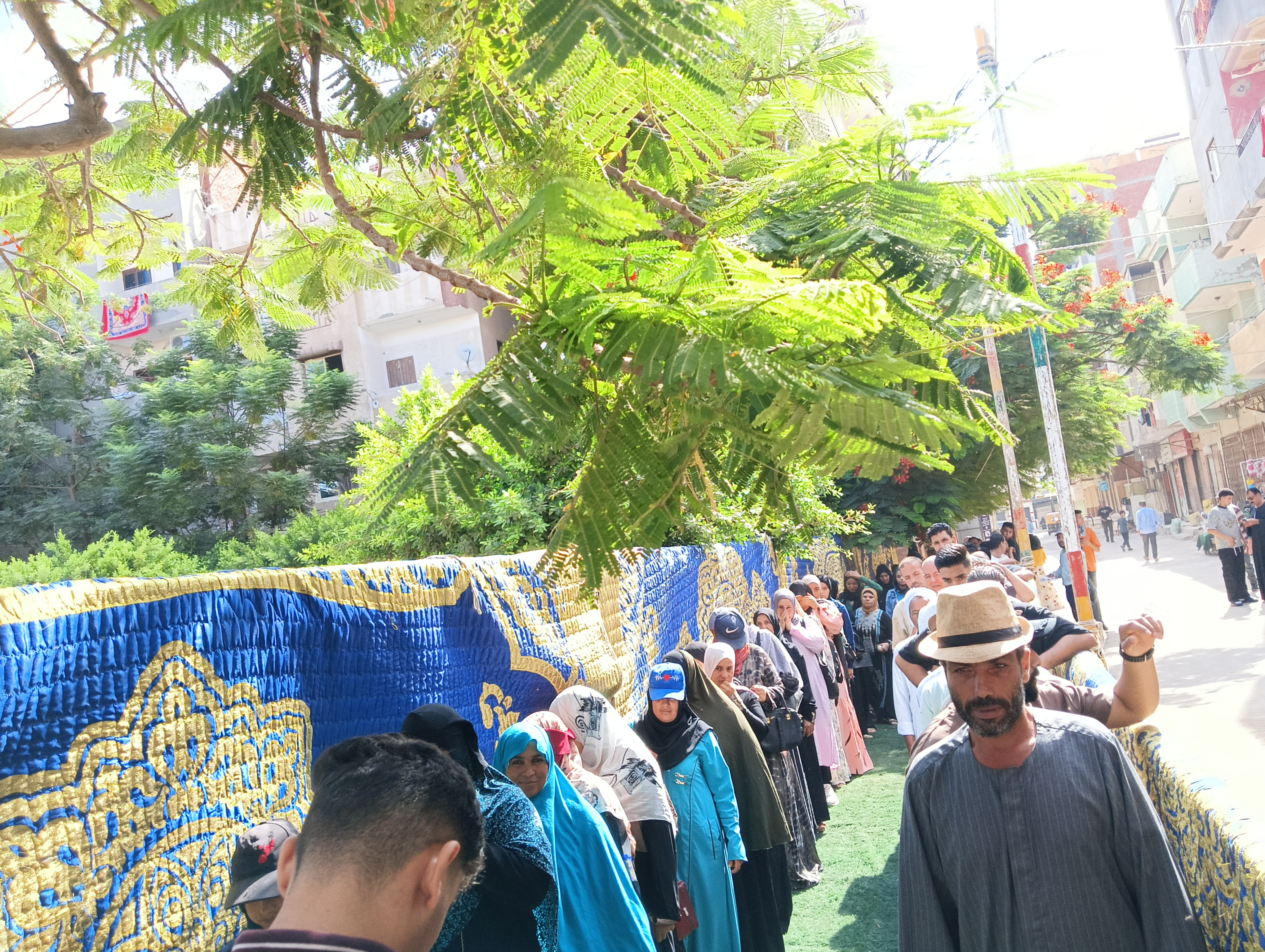 انتخابات الاعادة لمجلس الشيوخ