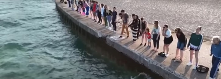 تجمع البعض للصراخ