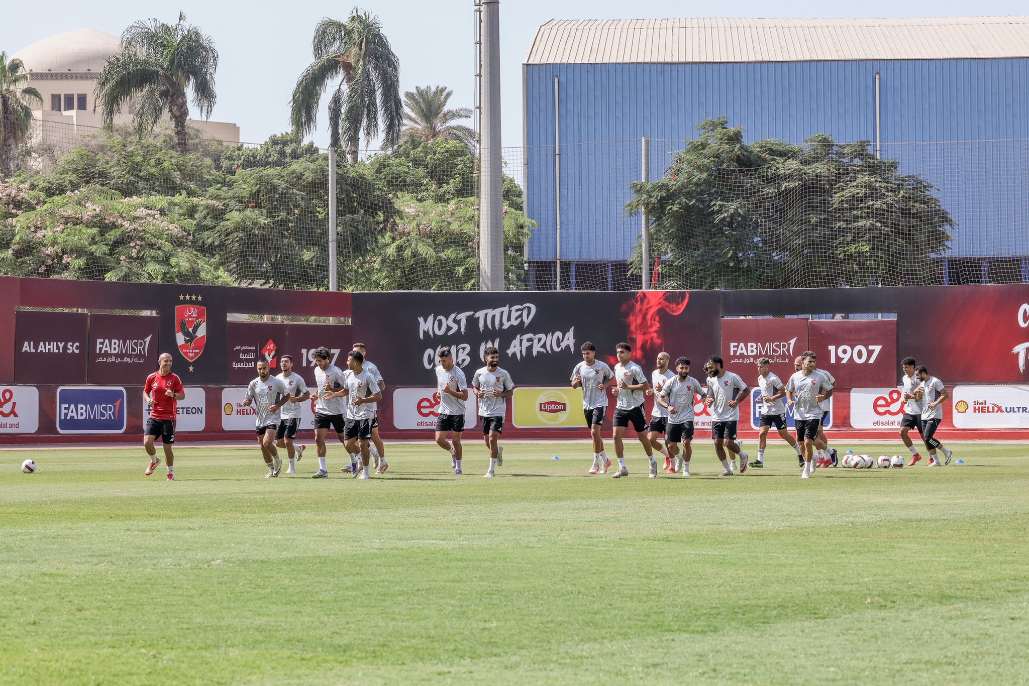 الاهلي الاهلي