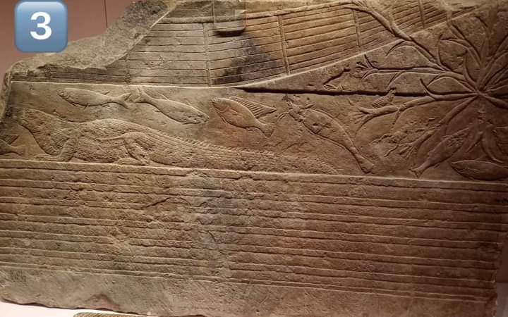 القطعة الثالثة نقوش تحكي عن نهر النيل 