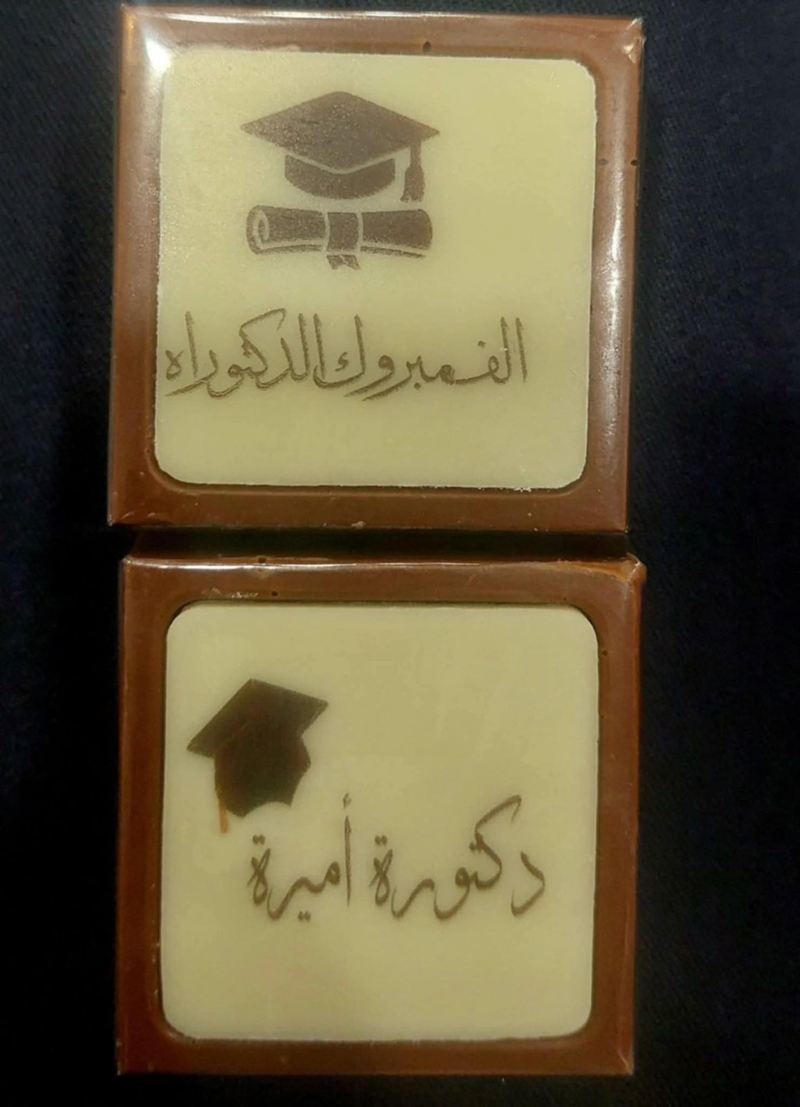 الباحثة اميرة عبد السلام 2