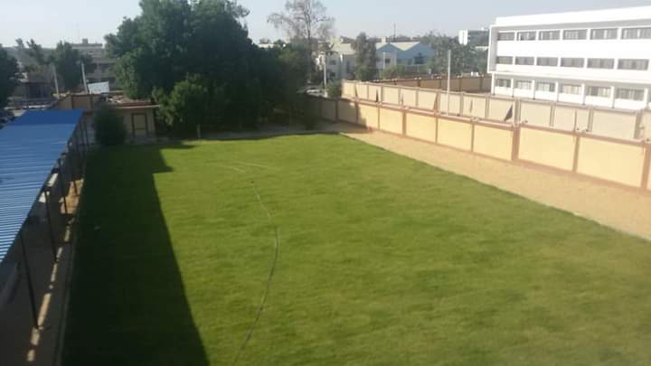 تنفيذ مبادرة المدارس الخضراء بالوادي الجديد تنفيذ مبادرة المدارس الخضراء بالوادي الجديد