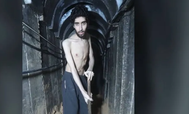 أفيتار دافيد