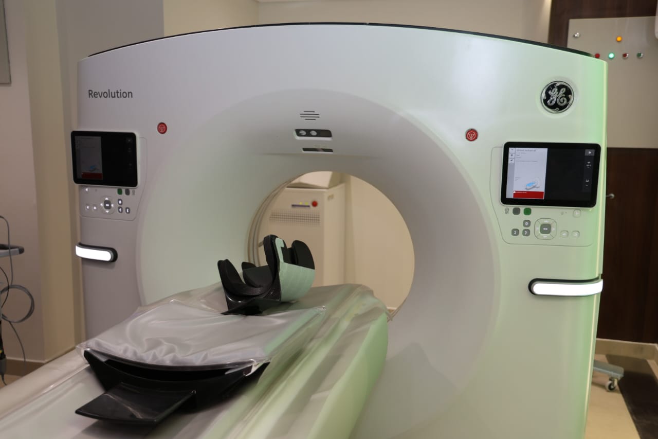 1000294782 1000294782