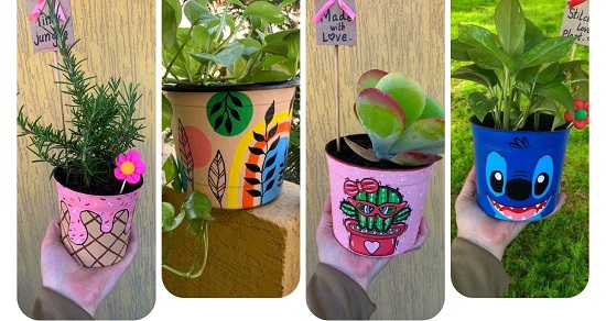 اشكال الرسومات