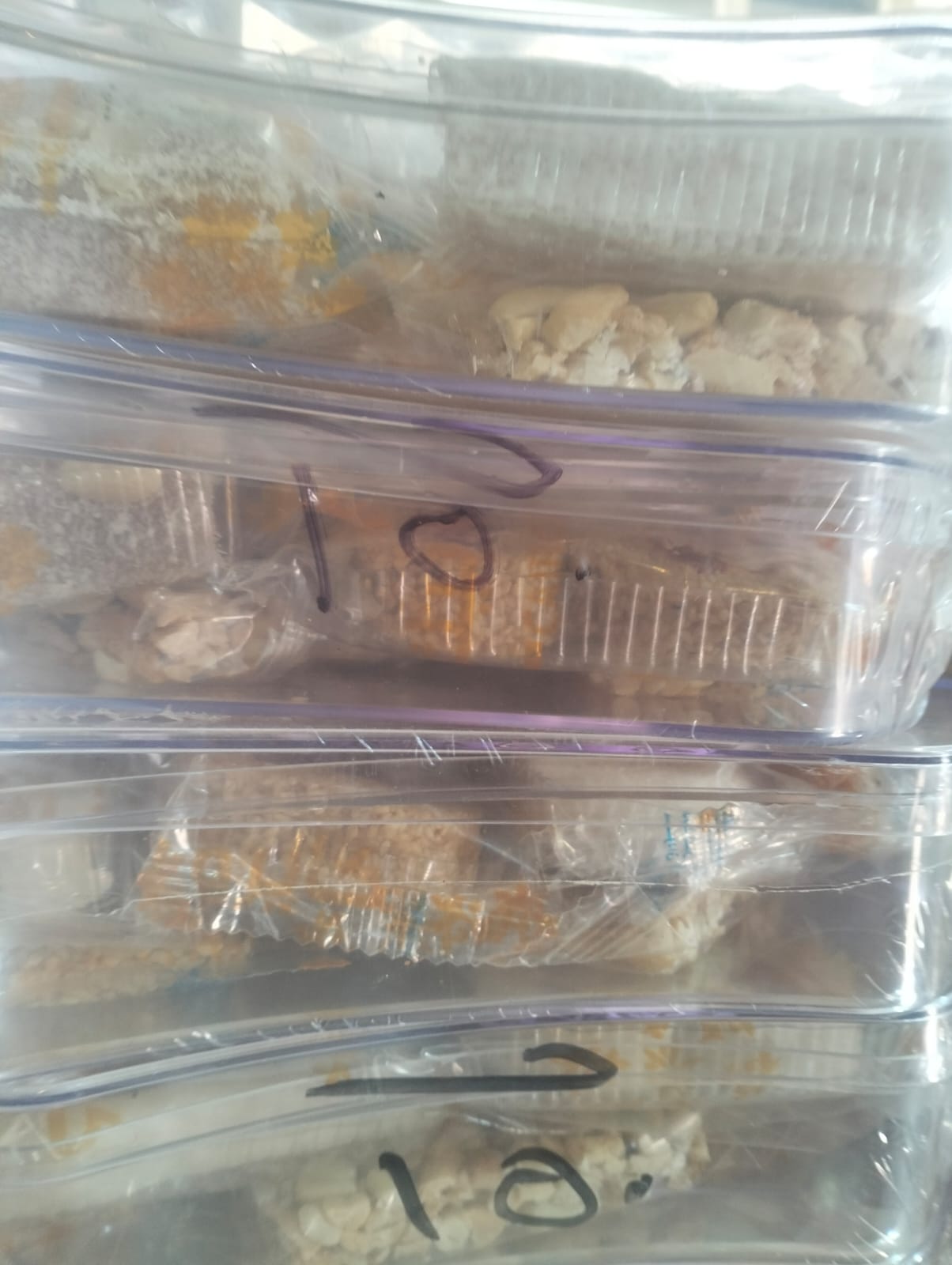 PHOTO-2025-08-17-13-07-52 PHOTO-2025-08-17-13-07-52