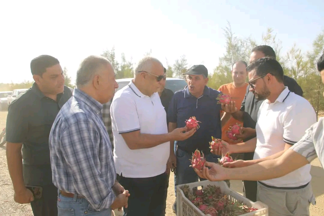 نجاح تجربة زراعة فاكهة الدراجون فروت بالفرافرة