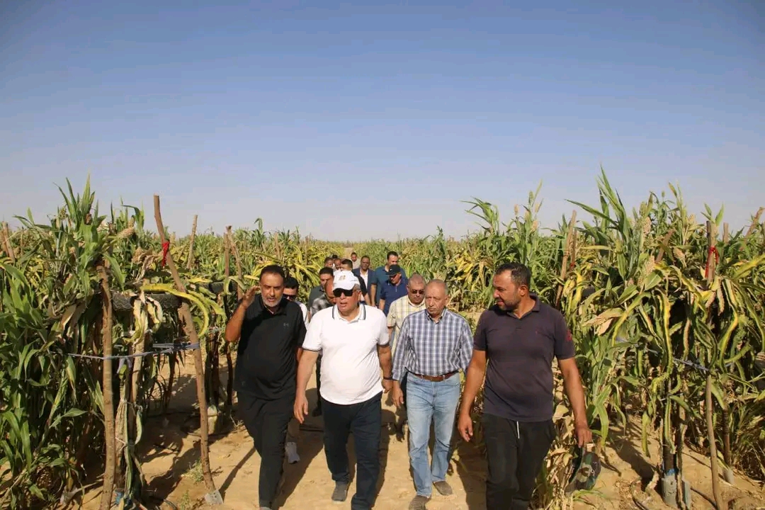 محافظ الوادى الجديد خلال جولته