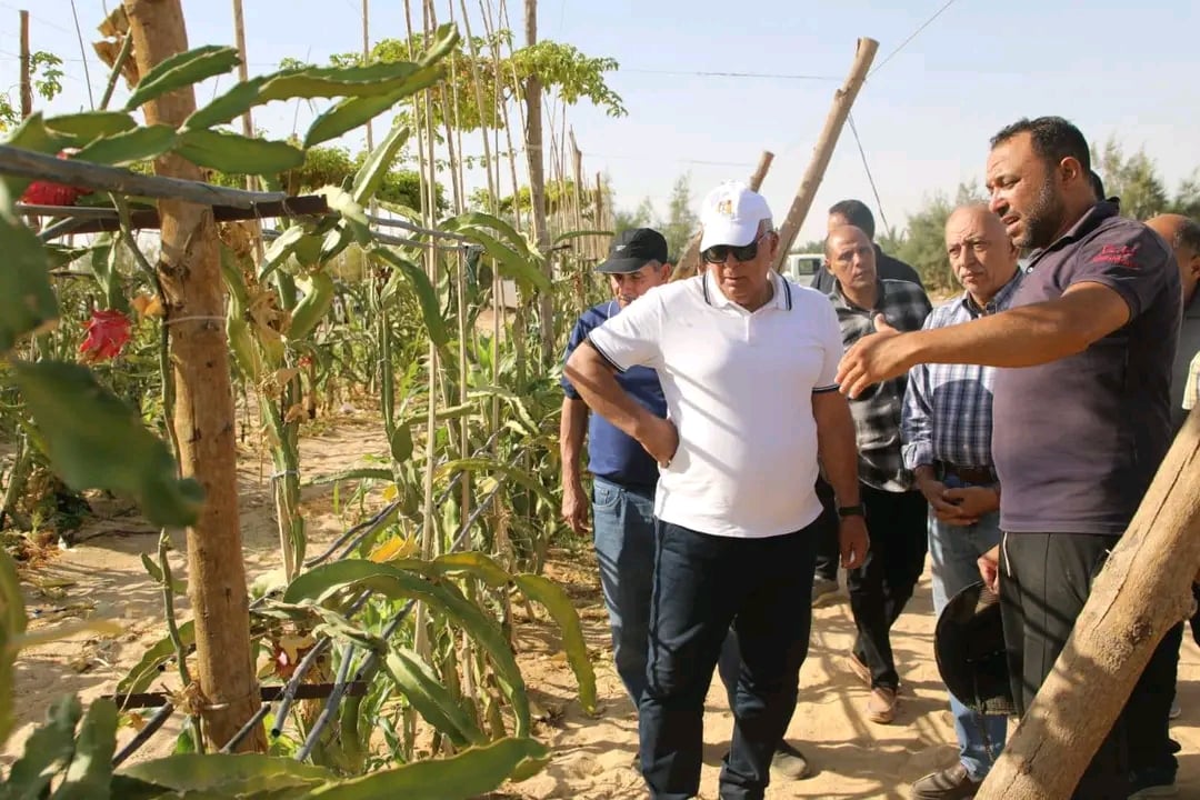 محافظ الوادى الجديد خلال الجولة