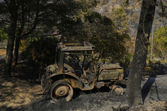 صور حرائق الغابات في أوروبا تشرد الآلاف بينما ينضم السكان إلى جهود مكافحة النيران (8)