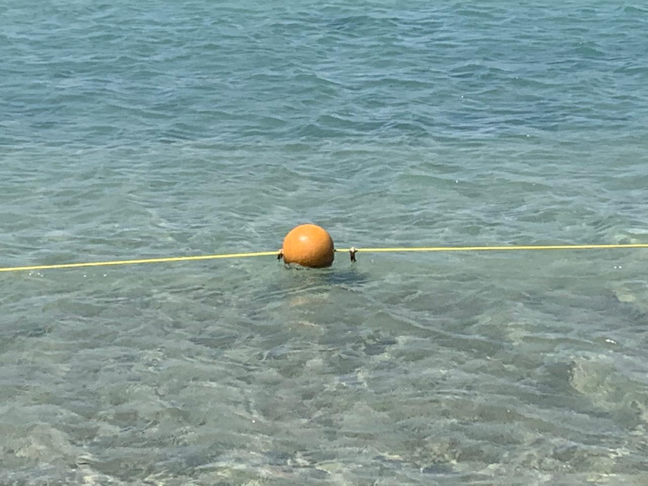 يتم وضعها بشكل ظاهر
