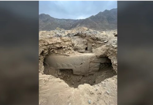 جدارية مزينة بالأسماك والنجوم