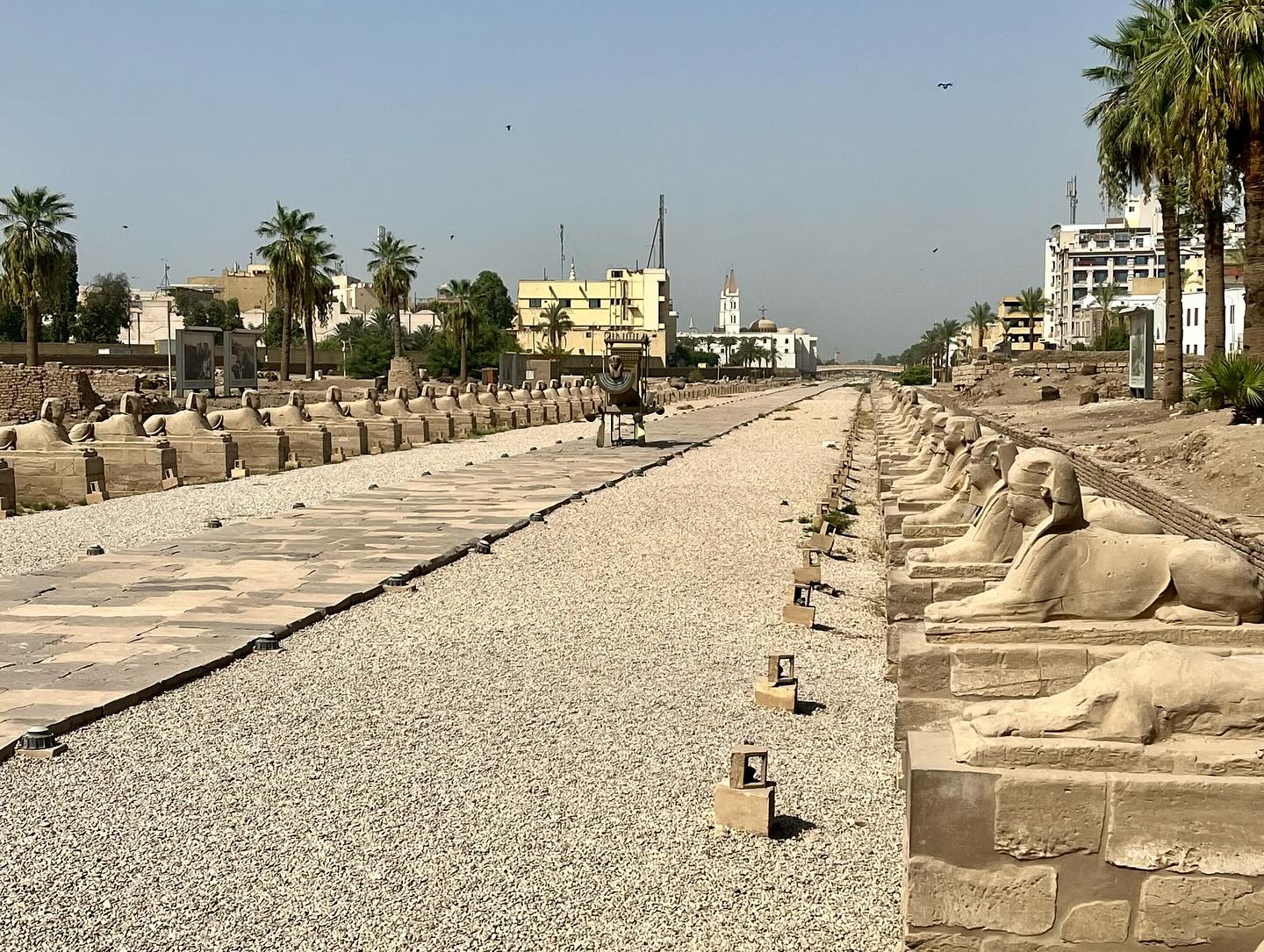 سحر التطوير يظهر أمام السياح بطريق الكباش سحر التطوير يظهر أمام السياح بطريق الكباش
