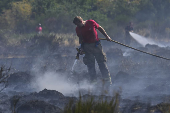 صور حرائق الغابات في أوروبا تشرد الآلاف بينما ينضم السكان إلى جهود مكافحة النيران (11)