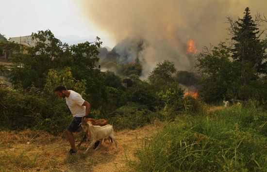 صور حرائق الغابات في أوروبا تشرد الآلاف بينما ينضم السكان إلى جهود مكافحة النيران (6)