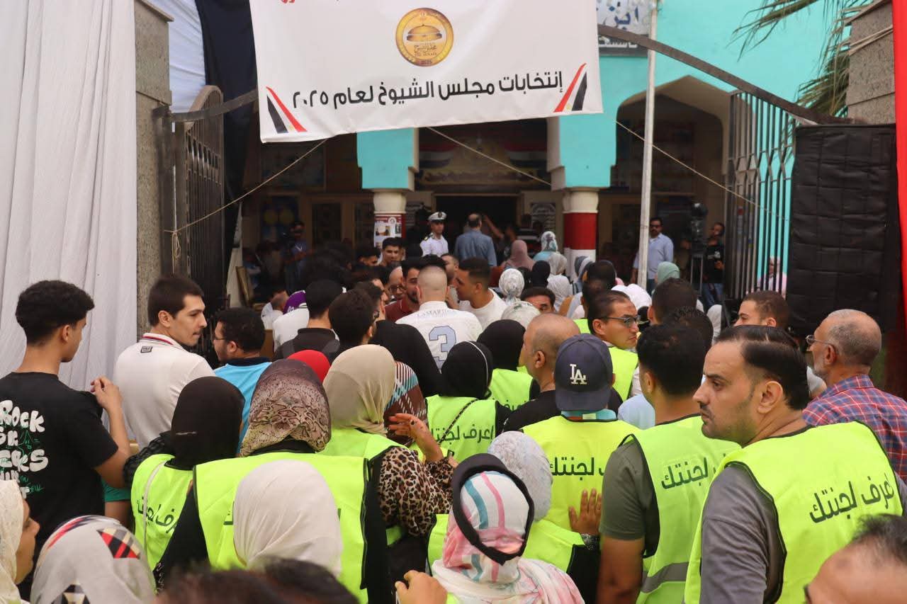 انتخابات مجلس الشيوخ 2025 بالدقهلية