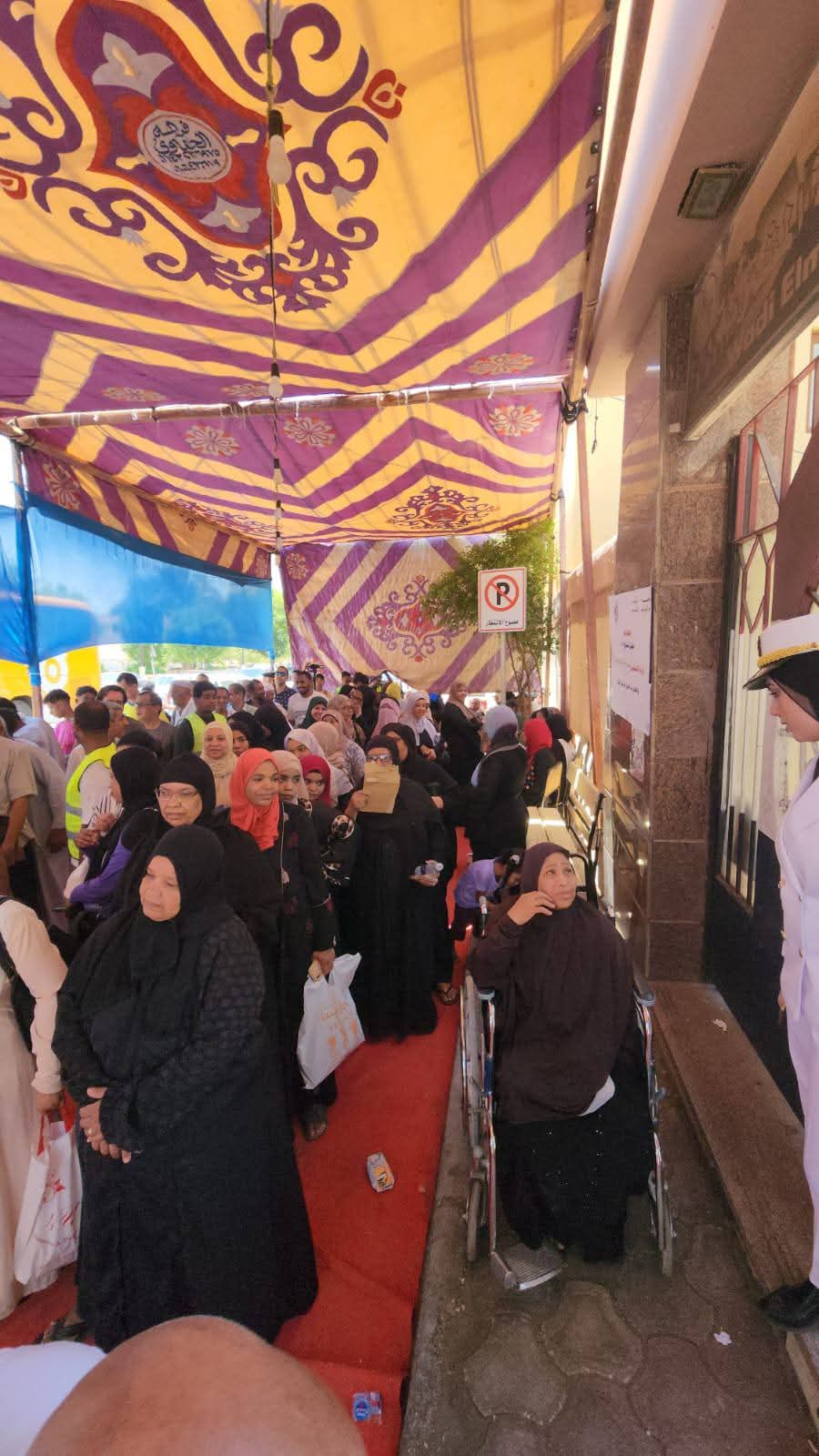 مشاركة السيدات فى الانتخابات مشاركة السيدات فى الانتخابات