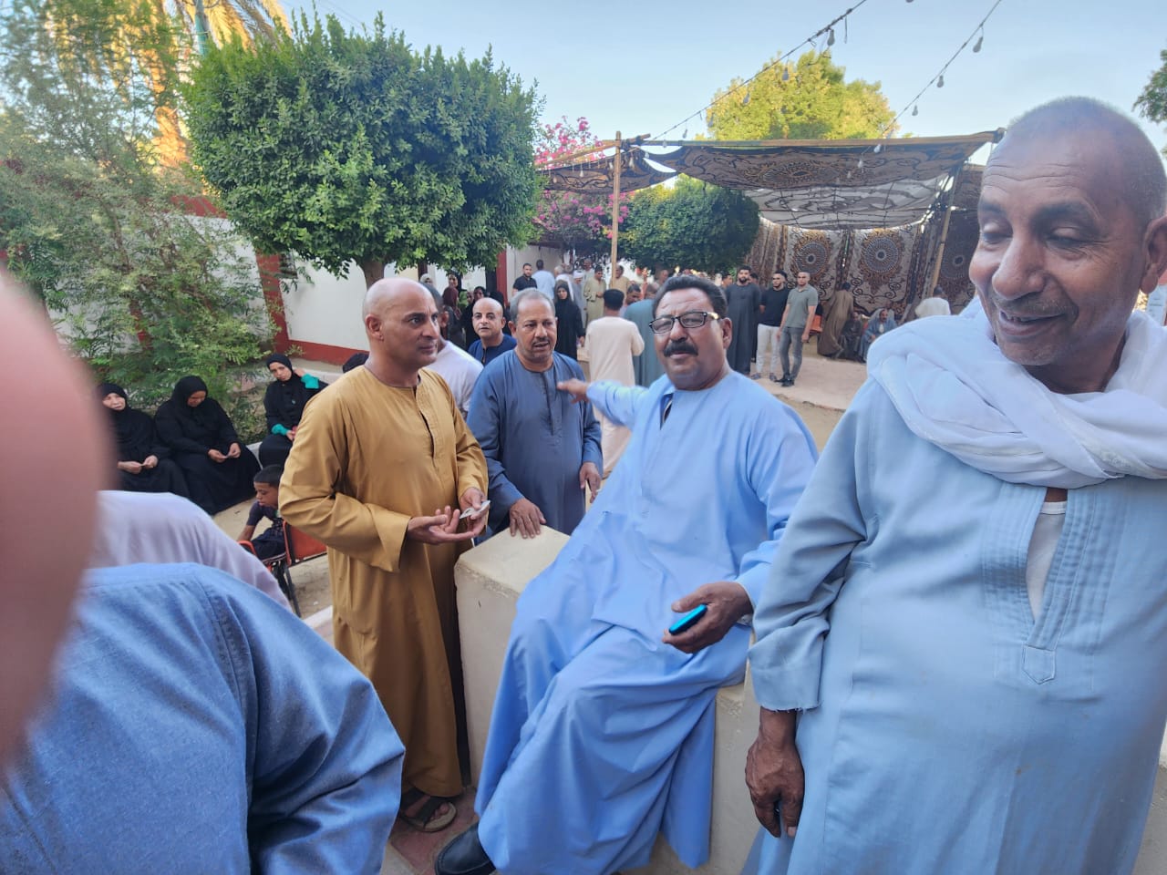 حشود وإقبال كثيف على لجان البعيرات غرب الأقصر (3)