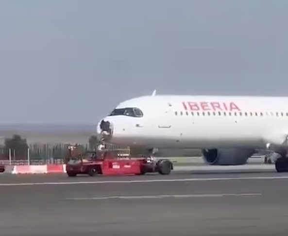 طائر يصطدم بمقدمة طائرة إيرباص ويرغمها على الهبوط (1)