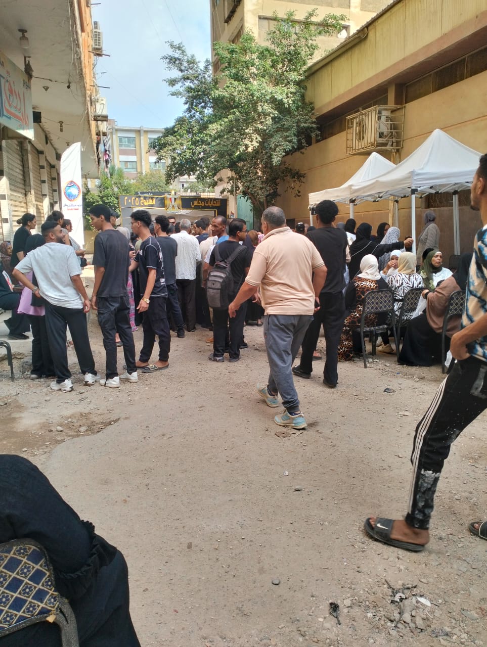 بدء التصويت في لجان الزيتون