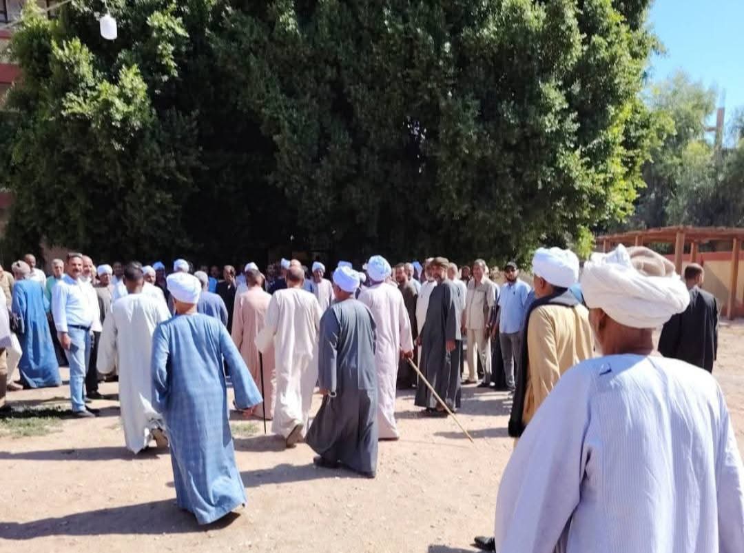 إقبال كبير على لجان انتخابات مجلس  الشيوخ (1)