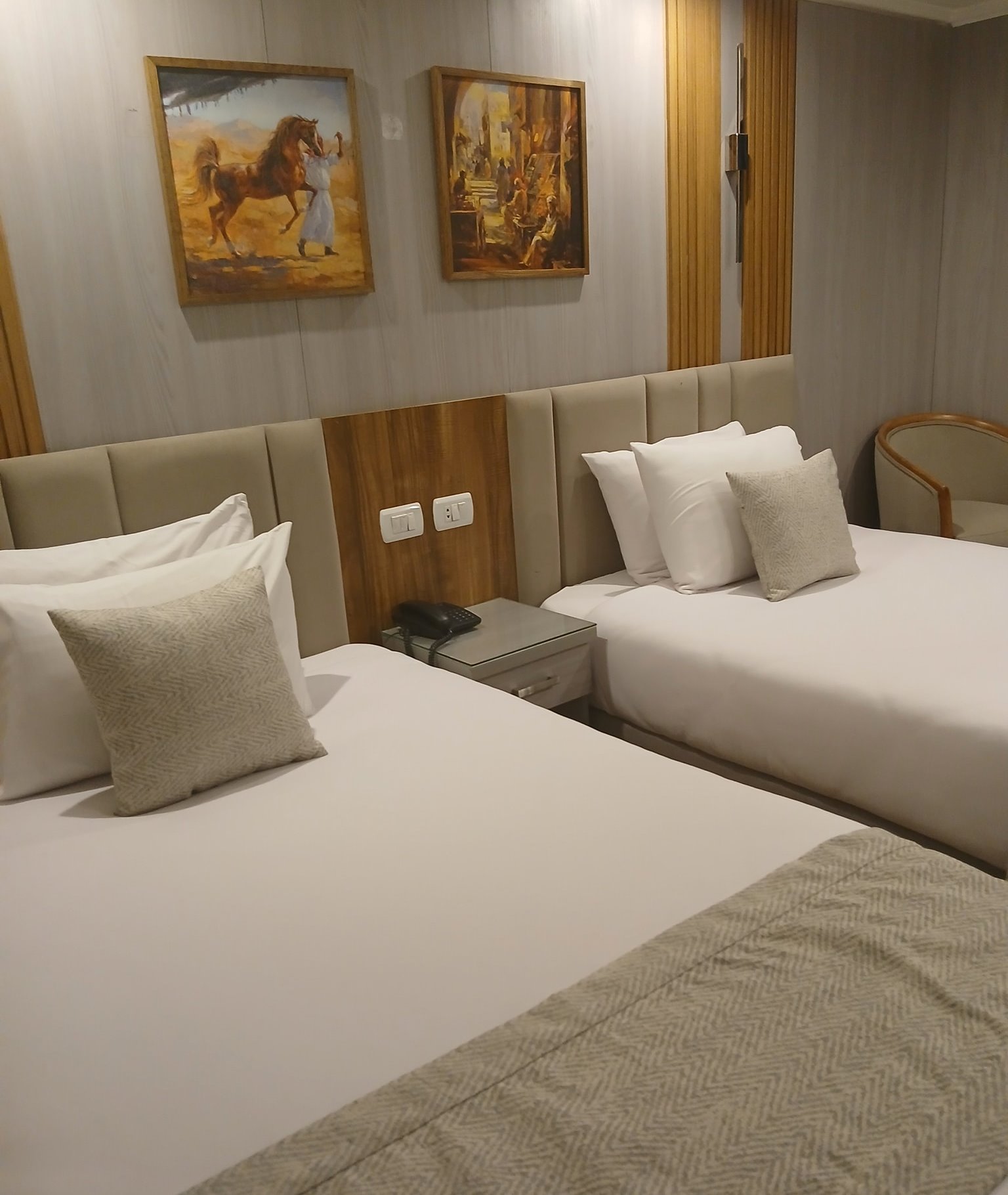 تصميم بسيط ومتعة خيالية لغرف رحلات النايل كروز