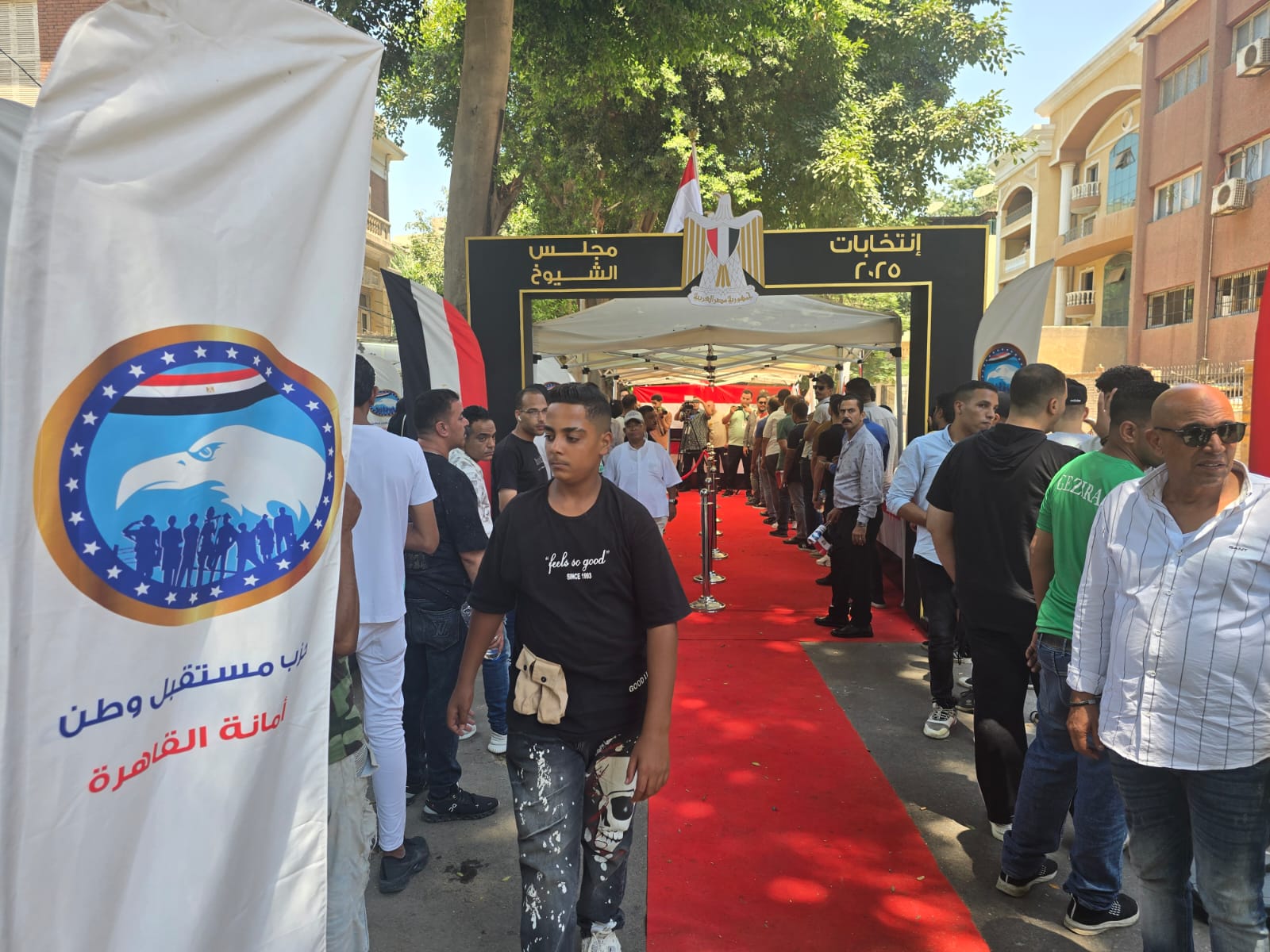 انتخابات مجلس الشيوخ انتخابات مجلس الشيوخ