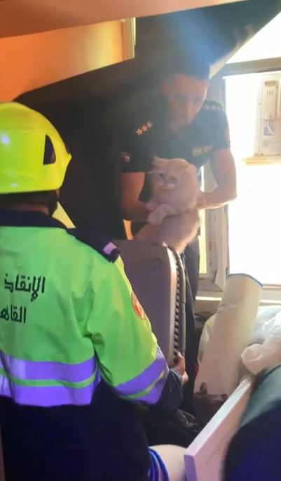 انقاذ قطة معلقة أعلى وحدة تكييف خارجى لعقار  (2)
