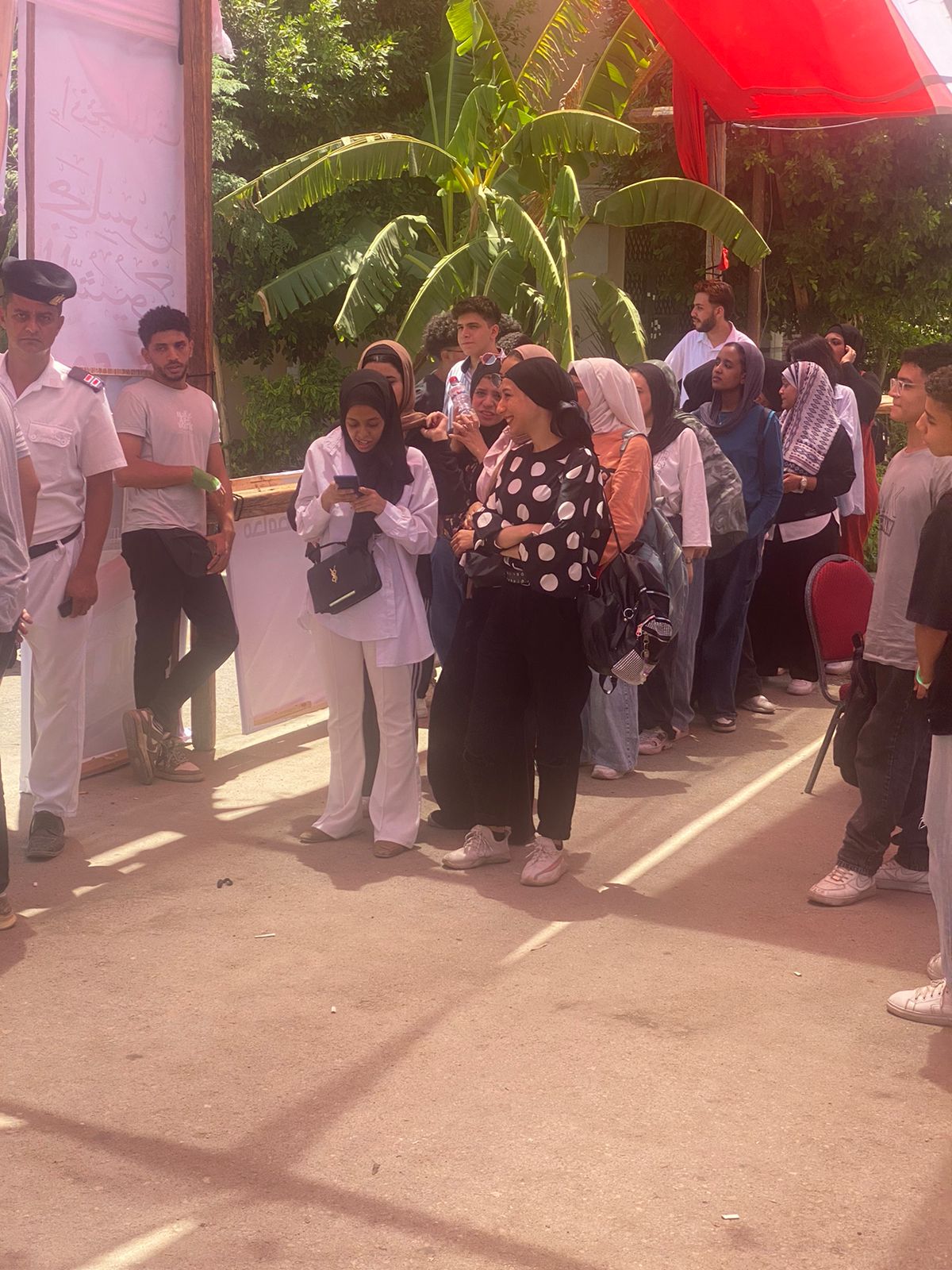 انتخابات مجلس الشيوخ