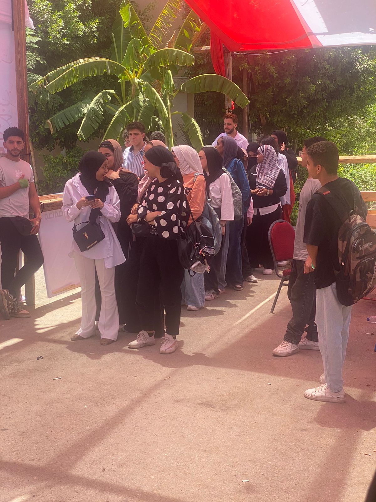 انتخابات الشيوخ