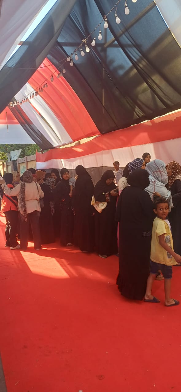 المواطنين امام اللجان