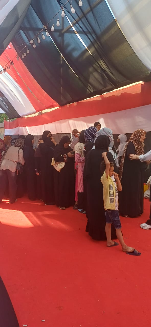 انتشار المواطنين داخل اللجان
