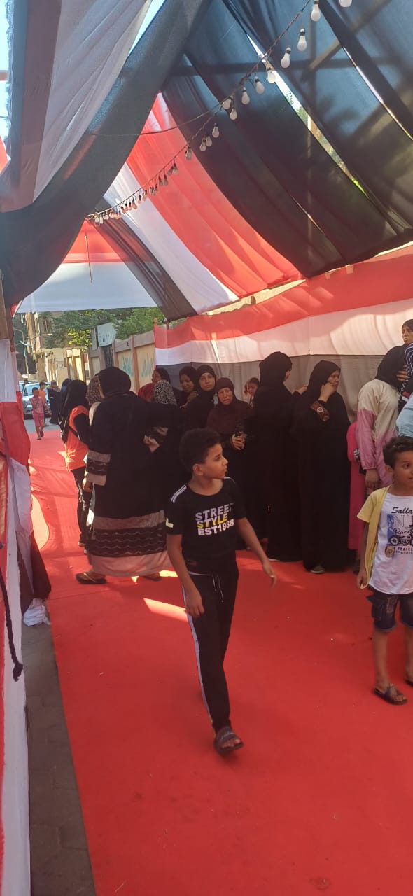 تزايد الناخبين فى اللجان