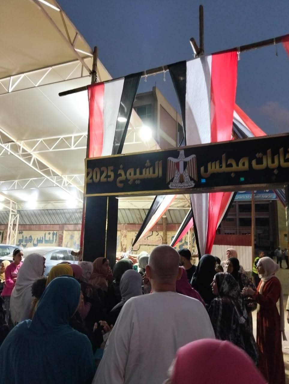 إقبال المواطنين قبل غلق لجان انتخابات مجلس الشيوخ بالقليوبية (1)