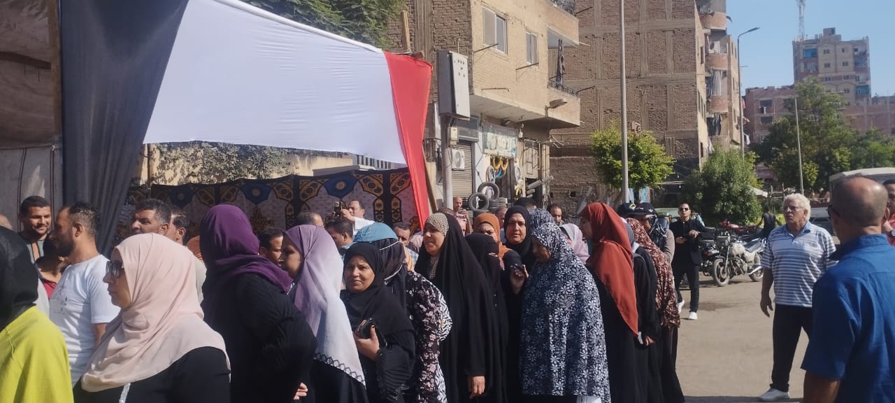 أمام لجان انتخابات مجلس الشيوخ بالخصوص