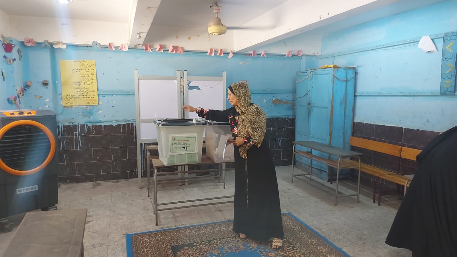 تصويت السيدات