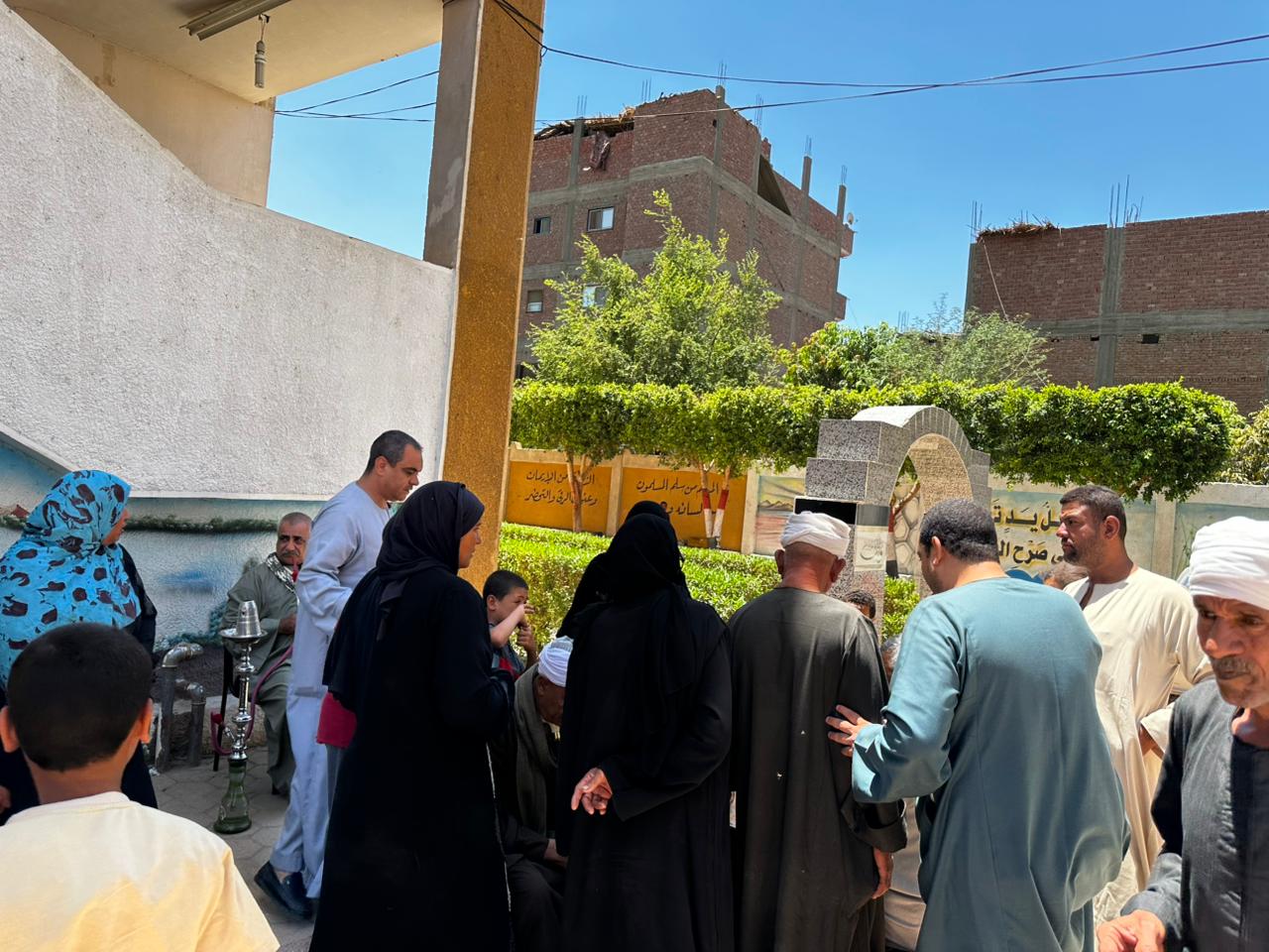انتخابات الشيوخ (1)