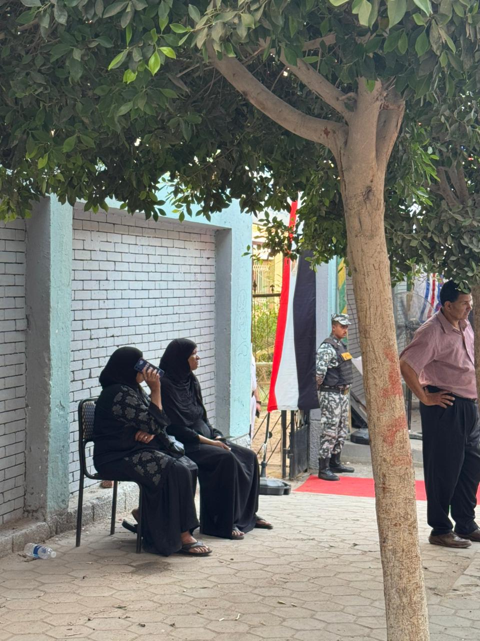 العنصر النسائى فى الانتخابات  (3)