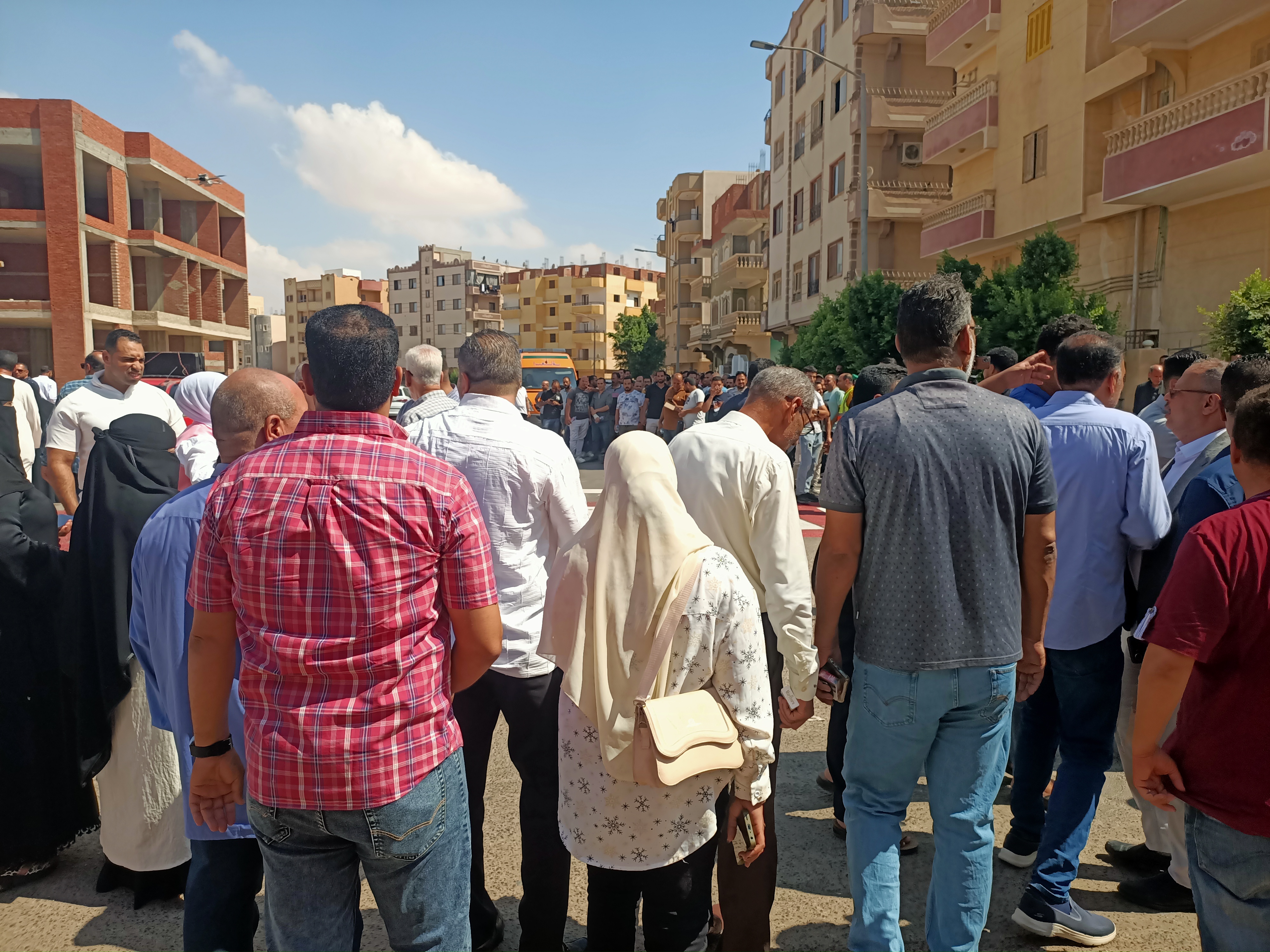 لجان انتخابات مجلس الشيوخ بالمنوفية