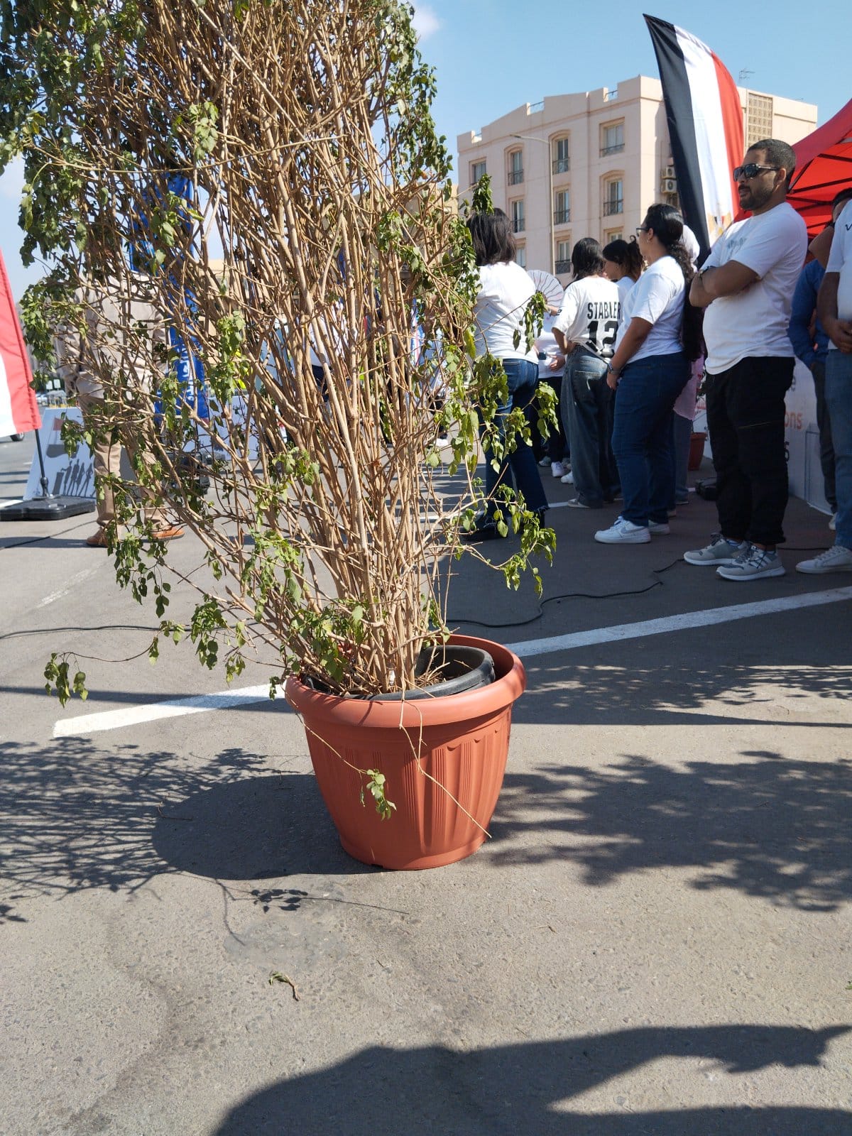 توافد الناخبين بدائرة التجمع الاول توافد الناخبين بدائرة التجمع الاول